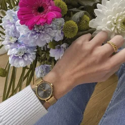 CLUSE Montres Or|Boho Chic Petite^Boho Chic Petite Crystals Mesh Grey, Gold Colour