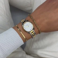 CLUSE Féroce Mini^Féroce Mini Watch Steel, Silver, Bicolour