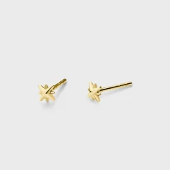 CLUSE Boucles D’oreilles^Zoé Star Studs, Gold Colour